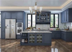 Comh-Aireachta Cistine Blue Shaker